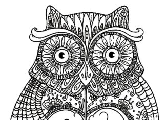 mega big owl coloring book to print