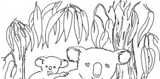 koala bears in their house coloring book to print