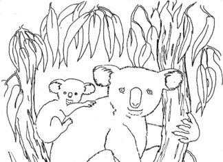 medvede koala v ich dome omaľovánky na vytlačenie