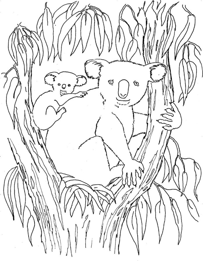 medvede koala v ich dome omaľovánky na vytlačenie