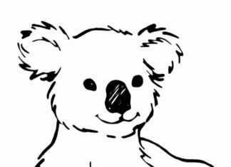 koalabjørn malebog til udskrivning