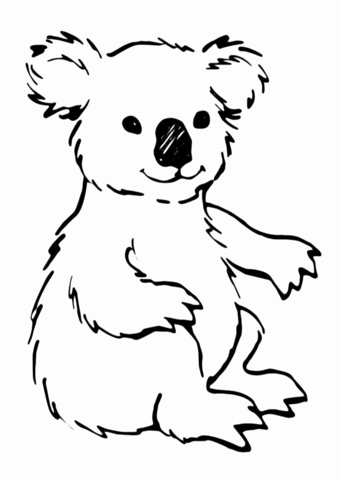 miś koala rysunek kolorowanka do drukowania
