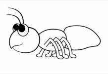 hormiga para niños libro para colorear para imprimir