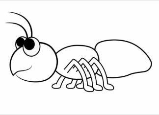 ant for kids coloring book to print