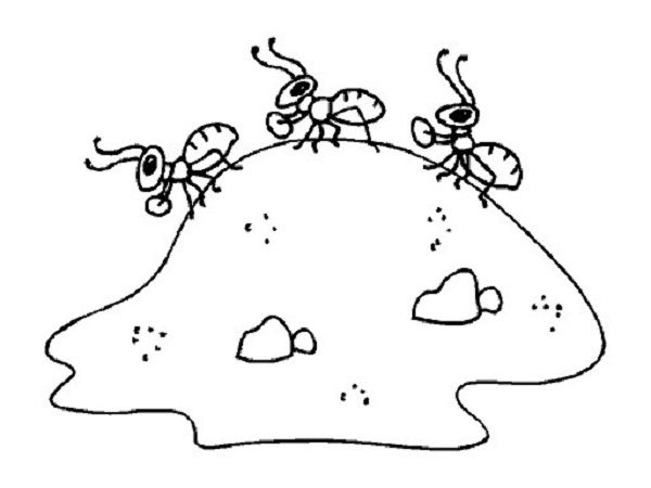 les fourmis construisent une fourmilière - livre à colorier à imprimer