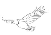 livre de coloriage de l'aigle blanc à imprimer