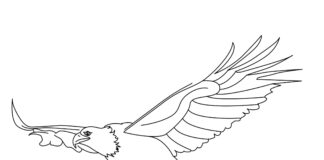 Weißer Adler Malbuch zum Ausdrucken