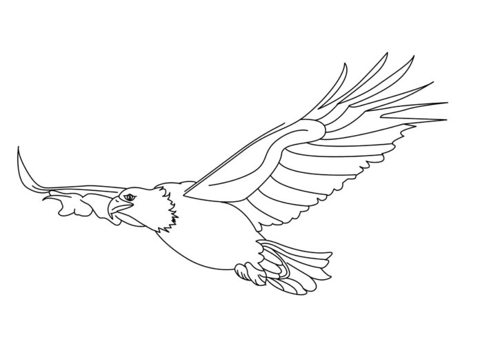 White eagle målarbok som kan skrivas ut