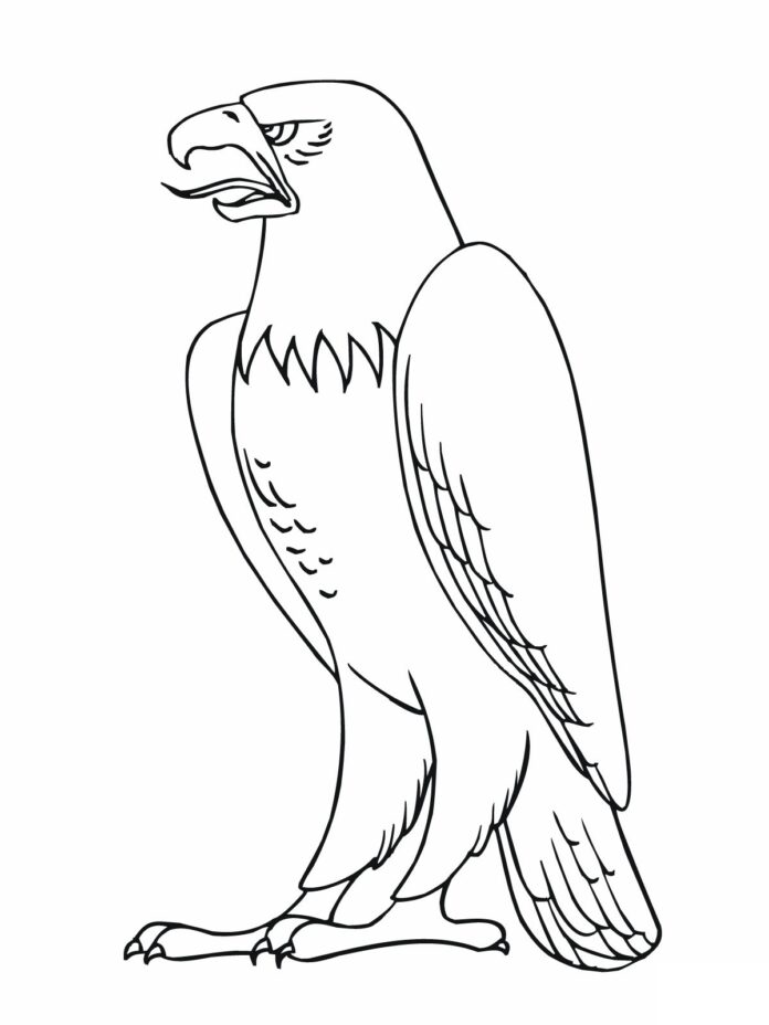 Libro para colorear Dibujo de águila para imprimir y en línea