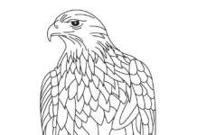 libro para colorear del águila para imprimir