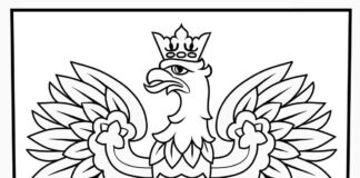 eagle polish coat of arms coloring book to print