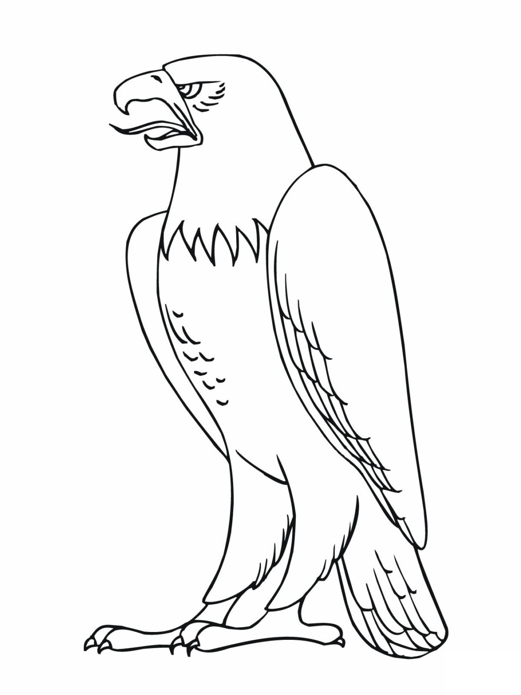 eagle drawing coloring book to print