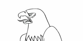 página de coloração de águia imprimível