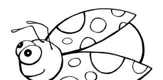 Hmyz bodky beruška omaľovánky k vytlačeniu