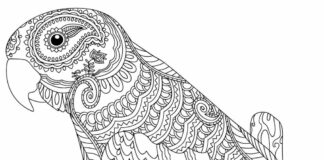 Papagáj pre dospelých zentangle omaľovánky na vytlačenie