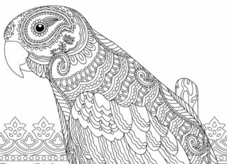 papegøje for voksne zentangle malebog til udskrivning