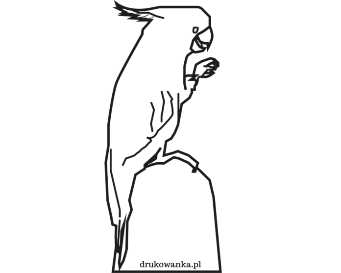 Papageiennymphe mit Fransen Malbuch zum Ausdrucken