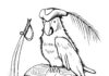 pirátsky papagáj a poklad na vyfarbenie na vytlačenie