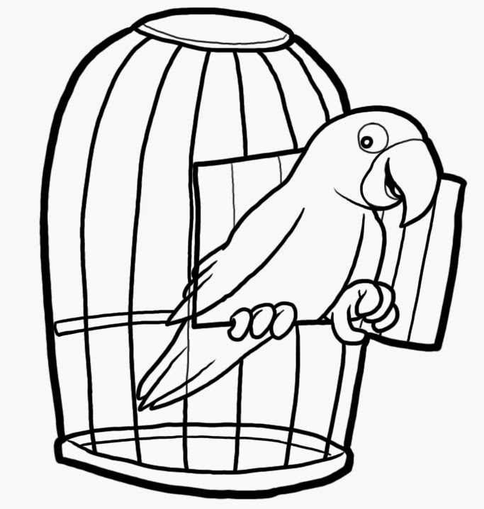 Papagáj v klietke - omaľovánky na vytlačenie