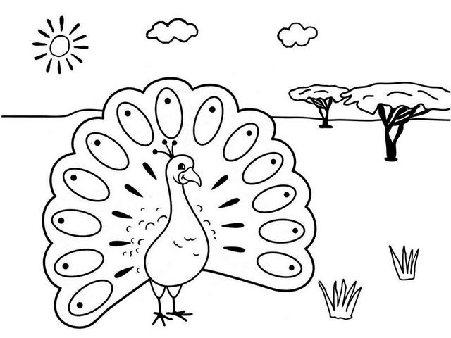 page à colorier pour enfants "Paon dans la prairie" à imprimer