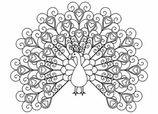 pavão com asas estendidas folha de coloração para impressão