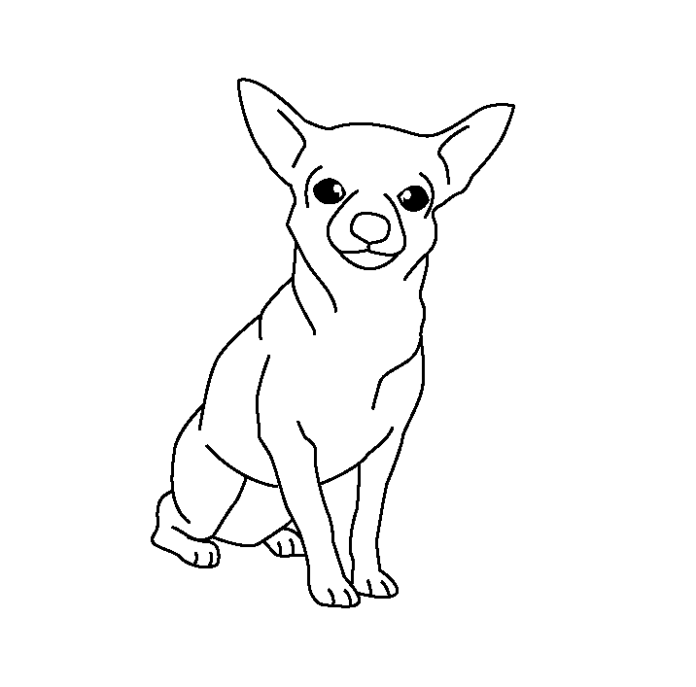 chihuahua koira värityskirja tulostettava