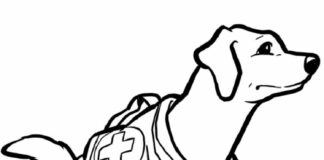 mountain rescue dog coloring book to print