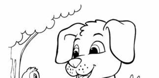 puppy dog and chicken coloring book to print