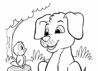 livre à colorier "Chiot, chien et poulet" à imprimer