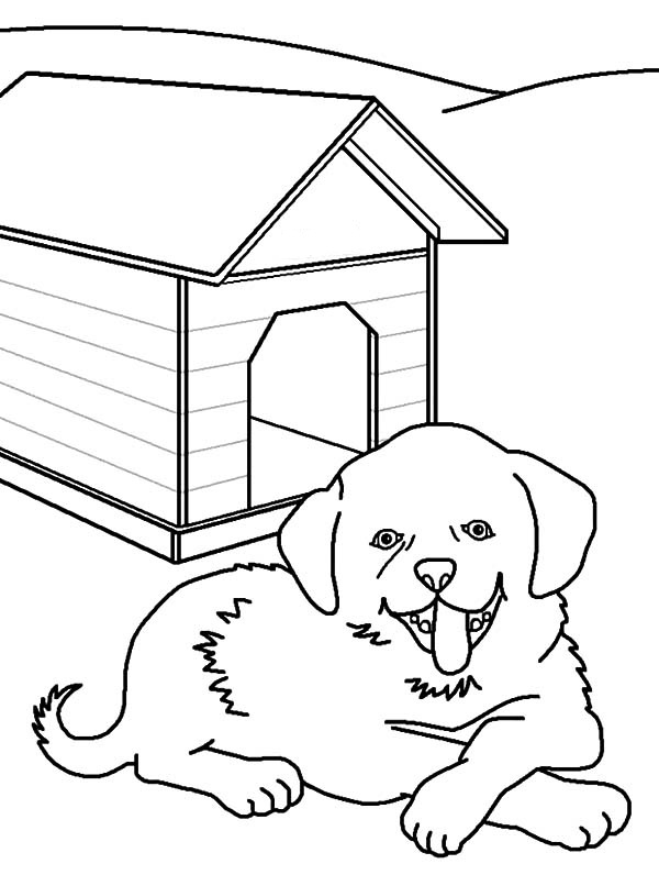 cão com livro de colorir canil para imprimir