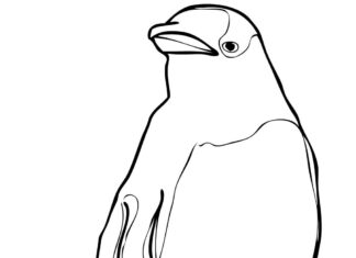 királypingvin nyomtatható kifestőkönyv