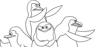 pingouins de madagascar livre à colorier à imprimer