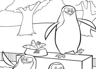 livre à colorier "Les pingouins attrapent du poisson" à imprimer