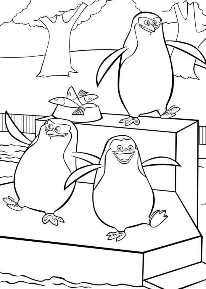 livre à colorier "Les pingouins attrapent du poisson" à imprimer
