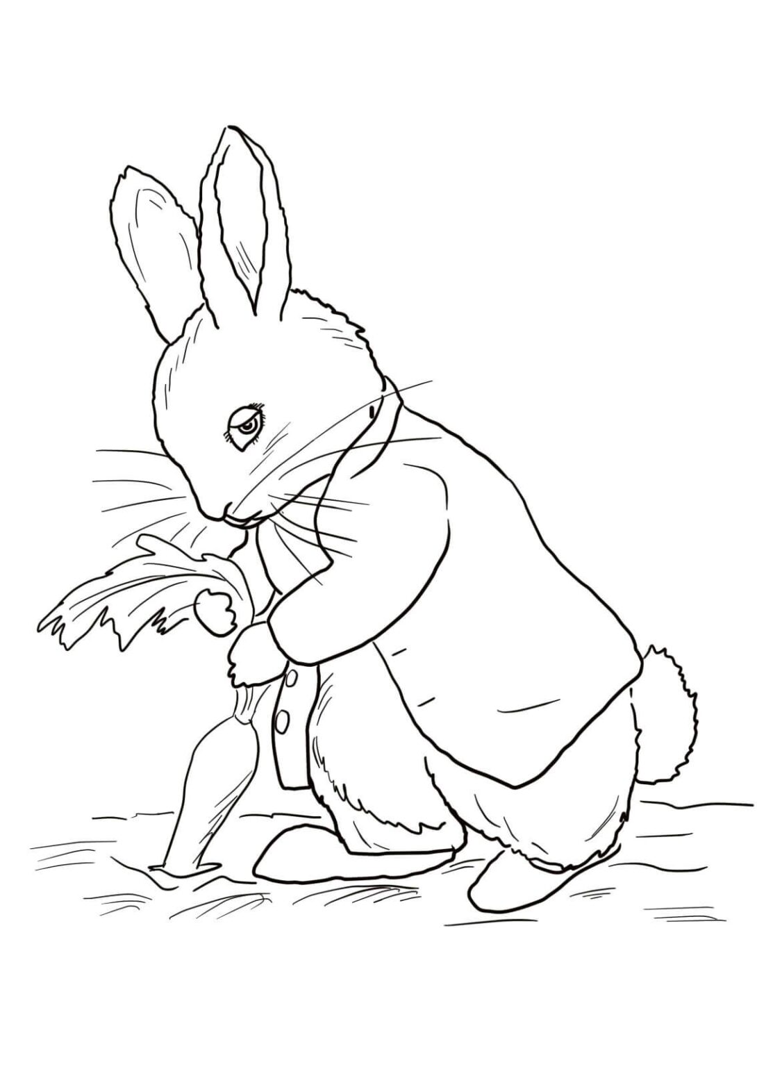 peter rabbit coloring pages for kids