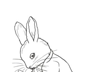 piotruss feen kanin malebog til udskrivning