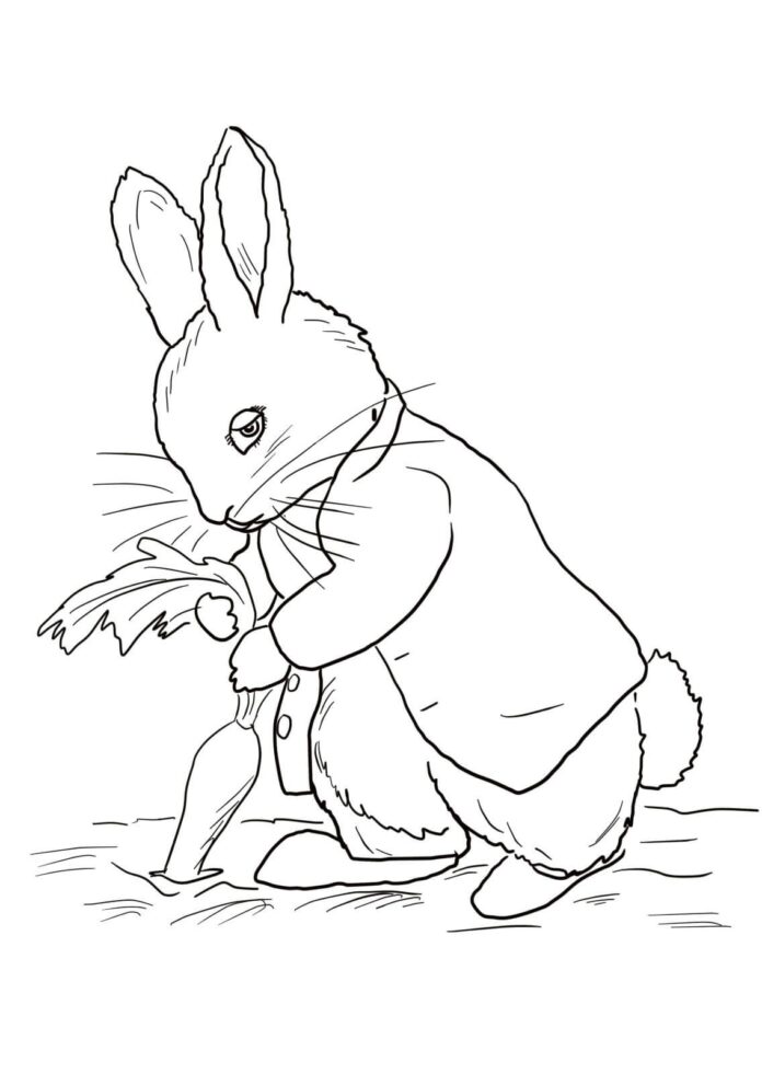 Piotruss das Kaninchen aus dem Märchen Malbuch zum Ausdrucken