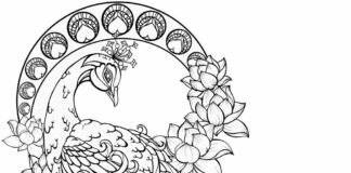 beautiful peacock coloring book to print