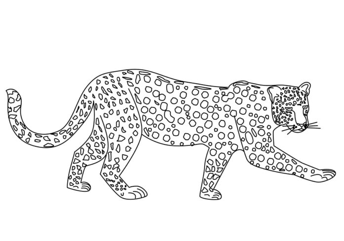 Omaľovánky na lov geparda na vytlačenie