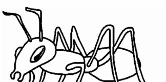 working ant and anthill coloring book to print
