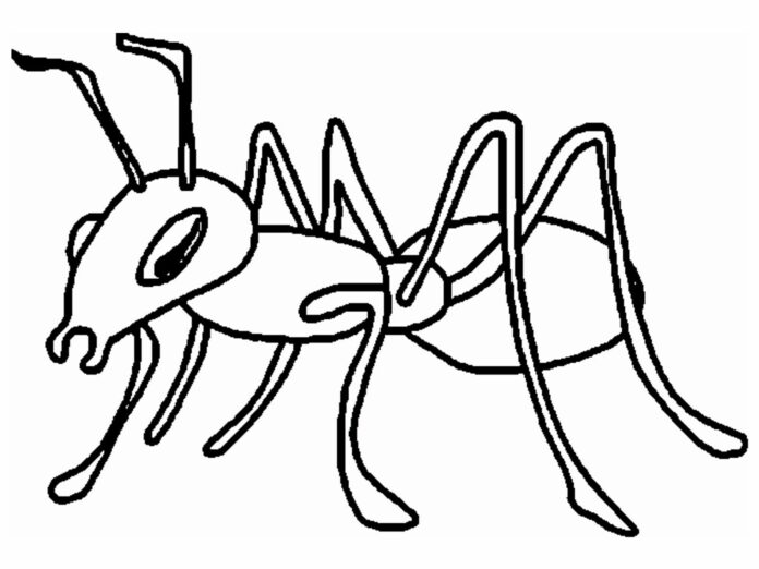dělník mravenec a mraveniště omalovánky k vytisknutí
