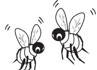 abeilles sur une fleur - livre à colorier à imprimer