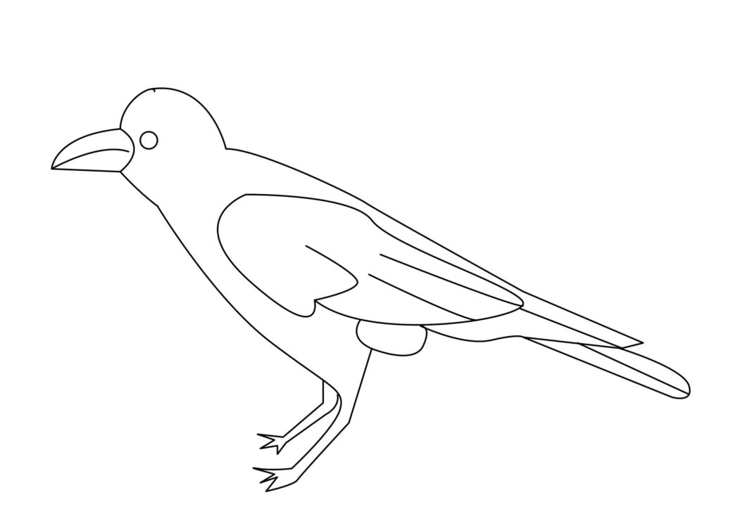corvo uccello nel campo libro da colorare da stampare