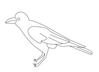 pássaro corvo no campo livro de colorir para imprimir