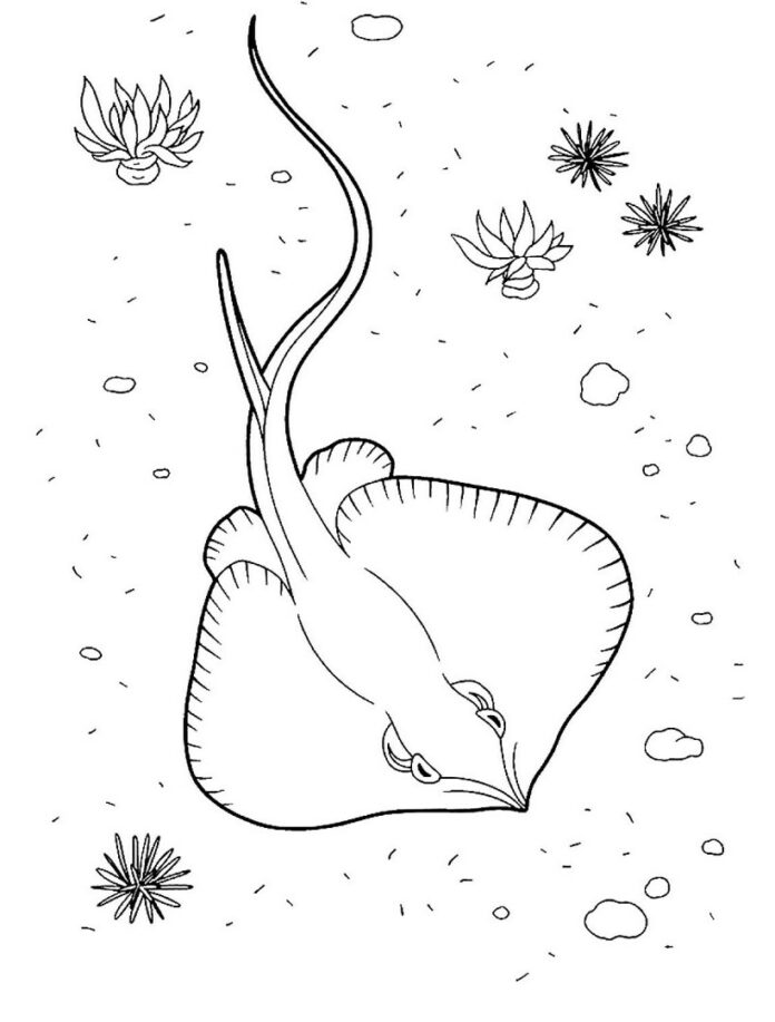 stingray on the bottom of the ocean coloring book to print
