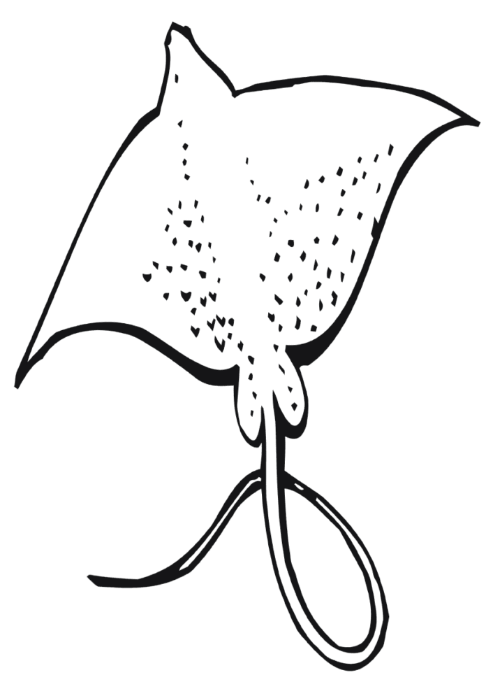 long tail stingray coloring book to print