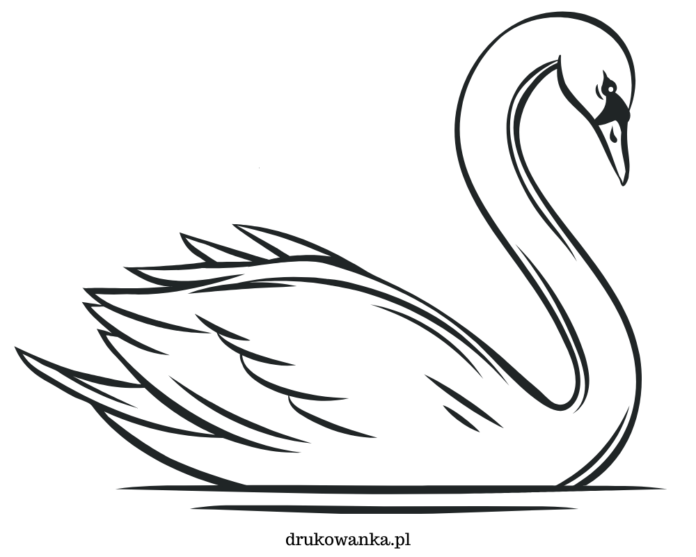 floating swan coloring book to print