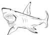 shark with open mouth coloring book to print