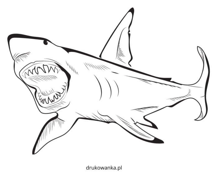 口を開けたサメの塗り絵 印刷用