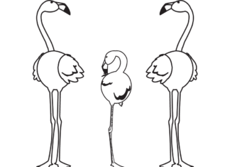 flamingo familie malebog til udskrivning